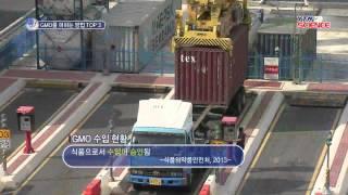 GMO식품, 먹어도 될까? / YTN 사이언스