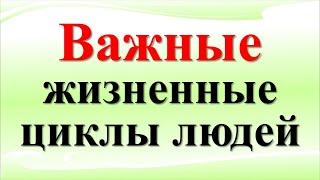 Важно знать из каких циклов состоит Ваш возраст