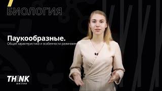 Членистоногие. Паукообразные |  Биология