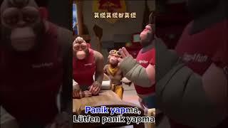 Maymunlar Çince şarkı söylüyorlar (monkeys singing chinese) Türkçe