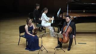 Mendelssohn Piano Trio No 1 in d minor, Op 49 (LUX Trio)