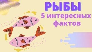 РЫБЫ| ХАРАКТЕРИСТИКА И ИНТЕРЕСНЫЕ ФАКТЫ  #гороскоп #астрология #рыбы