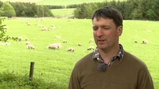 Scotland's Farming Year - Hill Farmer Interview