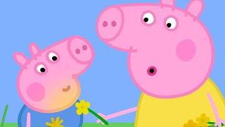 Daisy Chains With Cousin Chloe  | Peppa Pig Official Full Episodes