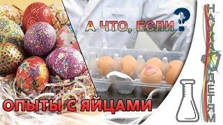 А что, если..? Опыты с яйцами/And what if..? Experiments with eggs