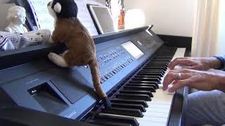 C. Gounod / J.S. Bach - Ave Maria (arr. Galya) (cover piano by piancamax)