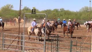 4D Arena Wittmann Sorting Event Wayne Frederickson & Tracey Seewald