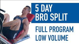 BRO SPLIT | 5 Day Body Part Program Explained (Low Volume)