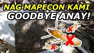 How To Kill Termites And Get Rid Of Them Forever In 2021 Most Effective #1 MAPECON Anay Pest Control