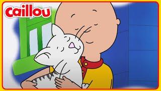 Caillou und die Katze | Caillou Klassiker