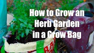How to Grow an Herb Garden in a Grow Bag Container