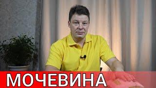 мочевина и карбамид для чего и как правильно применять когда надо подкормить азотным удобрением