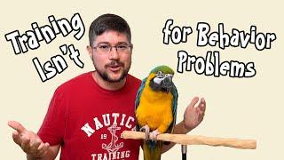 Parrot Training is NOT for Behavior Problems!