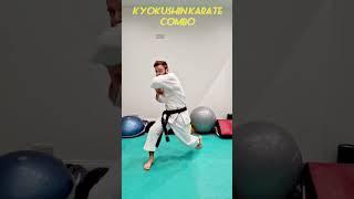 Kyokushin Karate Basic Combo #shorts #karate #kyokushin