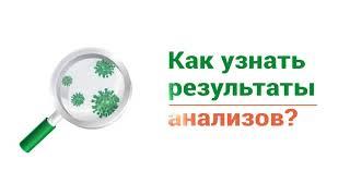 Как узнать результаты анализов в Гемотест?