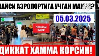 РОССИЯНИ КАЙСИ АЭРОПОРТИГА УЧГАН МАКУЛ? Домодедово Внуково Шереметьево Жуковский! 89663422200