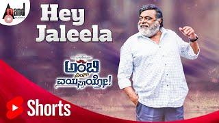 Ambi Ning Vayassaytho | Hey Jaleela |  Ambareesh | Sudeepa | Arjun Janya | Prem's