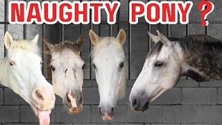 WHO IS THE NAUGHTIEST PONY? This Esme Ad