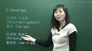 Christine's FUN FUN Korean Conversation  (Lesson 1) “Basic Conversation”