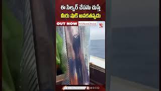 Amazing silver fish Found In A Sea | YouTube Shorts 2024 | V5 News