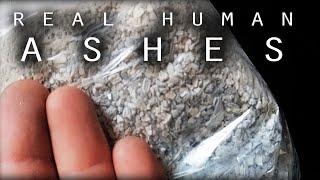 What do Human Ashes Look Like