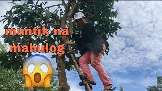 Trying hard.@elmaofficialvlogs3312