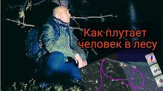 Как плутает человек в лесу без ориентиров.