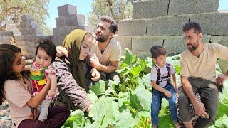 Master of construction and angel's life from helping to buy chickens