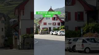 Pretty little town in Switzerland #switzerland #travel #montreux #chaplin #mountains