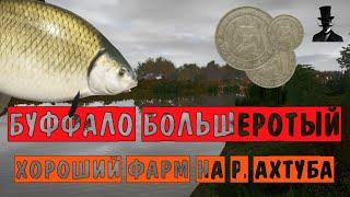 Буффало большеротый! Хороший фарм серебра на р. Ахтуба - Русская Рыбалка 4.