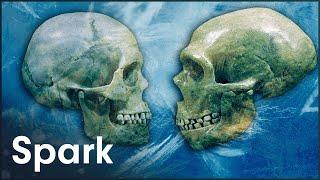 What Caused The Extinction Of The Neanderthals? | The Neanderthal in Us