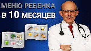 Как правильно составить меню ребенка в 10 месяцев - последние Европейские рекомендации ESPGHAN