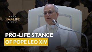 Pro-Life Stance of Pope Leo XIV