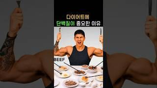 🟢 다이어트에 단백질이 중요한 이유