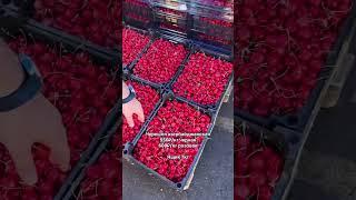 ‼️СЕЗОН В РАЗГАРЕ. Клубника по 350₽. Черешня уже вкусная. ФУД СИТИ