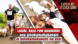 Lalaki, kaya raw paamuhin ang pinakamababangis at pinakamakukulit na aso! | Kapuso Mo, Jessica Soho