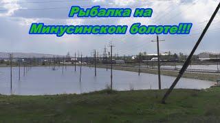 Рыбалка на болоте в городе!!!