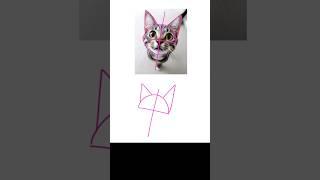 How to Draw a Realistic Cat Easily – (Part 1)#cat#digitalart#real #drawing