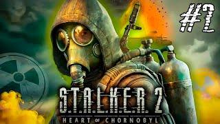 ️ S.T.A.L.K.E.R. 2 Heart of Chornobyl Ultimate Edition | Прохождение S.T.A.L.K.E.R. 2 | #2 часть ️