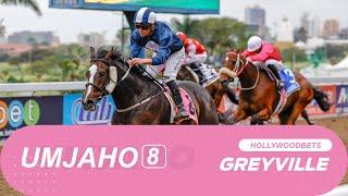 20240929 IsiZulu Hollywoodbets Greyville Race 8 won by JAZZ FESTIVAL