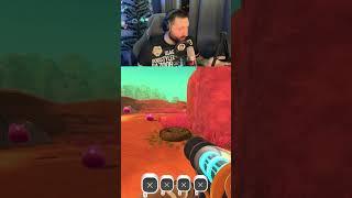 Паника в первый раз))) | #ridergibson с помощью #Twitch
