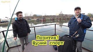 Позитив! Щучий спорт. Рыболовная мотивация.