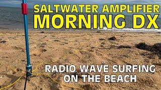 HF Ham Radio - Low Power Saltwater Amplifier DX