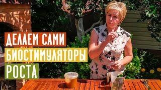 НЕ ПОКУПАЙ! СДЕЛАЙ САМ! Биостимуляторы роста своими руками / Садовый гид