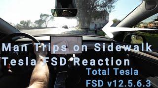 Tesla FSD v12.5.6.3 - Man Trips