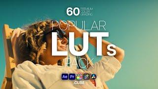 Popular LUTS Pack (After Effects - Premiere Pro - Apple Motion - Final Cut Pro - DaVinci Resolve)