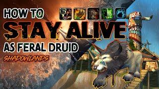 How to STAY ALIVE | Feral Druid Guide | Shadowlands PVP