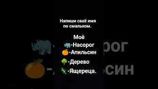 15 ноября 2023 г.