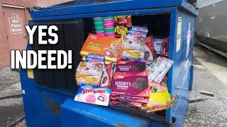 Dumpster Diving- Hershey's and Reese's Snack Cakes, Rained out Flea + The Critter Cam