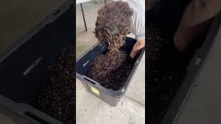 Make Your Own Soil Blocking Mix – Easy & Effective!
